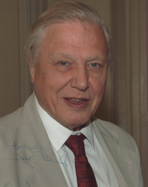 David